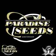 Paradise Seeds Lucky Dip